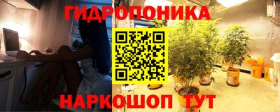 дмт Новозыбков