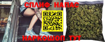 дмт Новозыбков