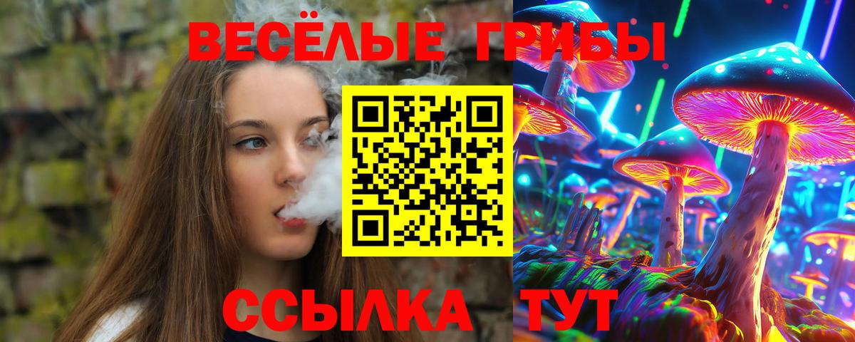 Галлюциногенные грибы прущие грибы Сосновый Бор