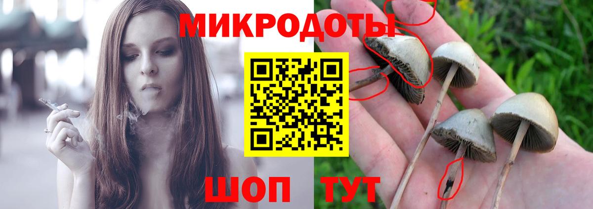 Псилоцибиновые грибы MAGIC MUSHROOMS  купить   Вход с VPN  Сосновый Бор  Галлюциногенные грибы Psilocybine cubensis 